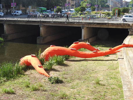 Temps de Flors 2022. Av. Sant Francesc - inici (parterre)