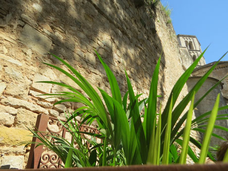 Temps de Flors 2022. Sant Pere de Galligants. Absis, tram 2