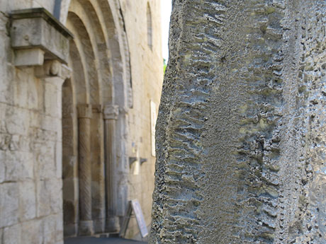 Temps de Flors 2022. Sant Pere de Galligants. Entrada