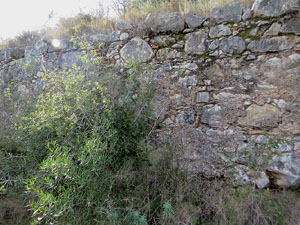 El fort dels Caputxins