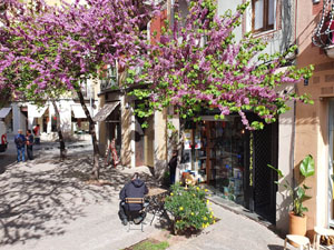 El carrer de les Hortes