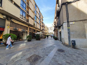 El carrer de les Hortes