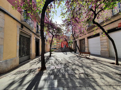 El carrer de les Hortes