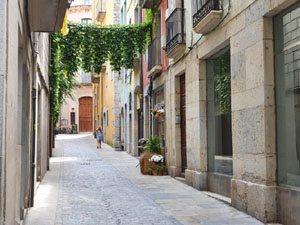 El carrer Nou del Teatre