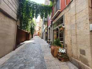 El carrer Nou del Teatre