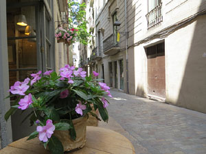 El carrer Nou del Teatre