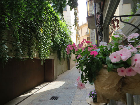 Carrer Nou del Teatre