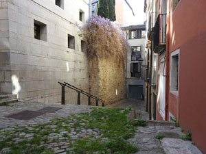 El carrer dels Vern