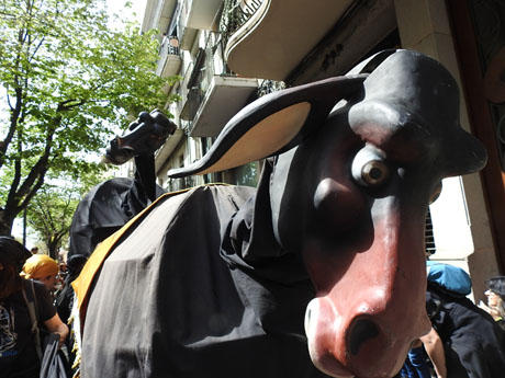 Festes de Primavera de Girona 2023. VII Trobada de Mulasses