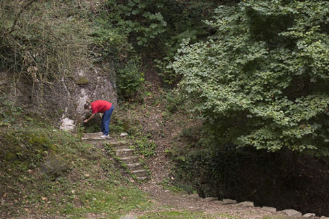 La font dels Lleons. 2008