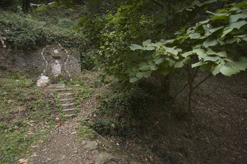 La font dels Lleons. 2008