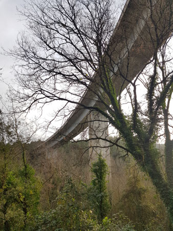 La variant de la N-II al camí de la font dels Lleons