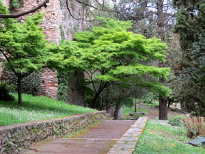 El Passeig Arqueològic. Observacions naturalistes