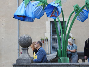 Temps de Flors 2023. Catedral - escales