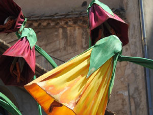 Temps de Flors 2023. Catedral - escales