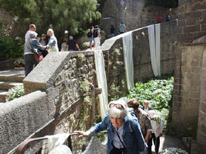Temps de Flors 2023. Catedral - Passad&iacute;s al fossat de l'absis