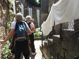 Temps de Flors 2023. Catedral - Passad&iacute;s al fossat de l'absis