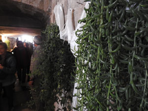 Temps de Flors 2023. Catedral - Passad&iacute;s al fossat de l'absis