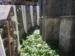 Temps de Flors 2023. Catedral - Passad&iacute;s al fossat de l'absis