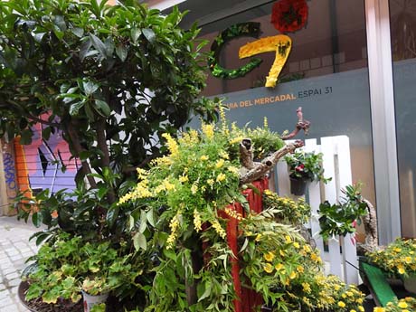Temps de Flors 2023. Carrer Anselm Clavé