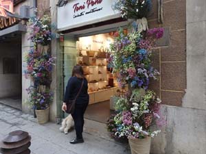 Temps de Flors 2023. Diversos espais