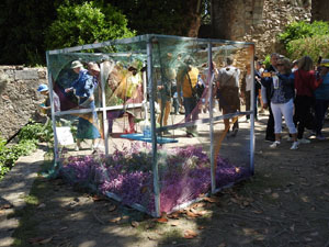 Temps de Flors 2023. Jardins de la Francesal'esdeveniment