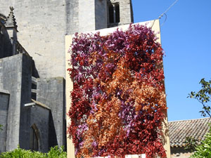 Temps de Flors 2023. Jardins de la Francesal'esdeveniment