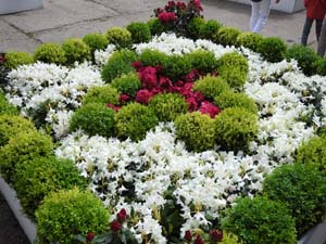 Temps de Flors 2023. Pla&ccedil;a dels Jurats
