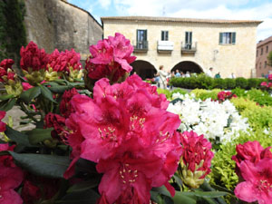 Temps de Flors 2023. Pla&ccedil;a dels Jurats
