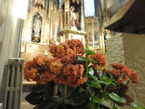 Temps de Flors 2023. Centre geriàtric Maria Gayl'esdeveniment