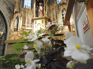 Temps de Flors 2023. Centre geriàtric Maria Gay