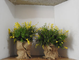 Temps de Flors 2023. Museu d'Història de Girona (Assecador)