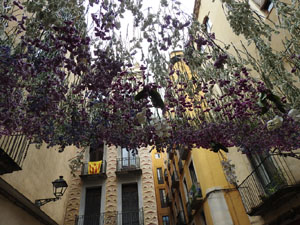 Temps de Flors 2023. Pla&ccedil;a de les Castanyesl'esdeveniment