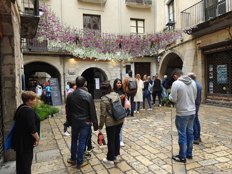Temps de Flors 2023. Pla&ccedil;a de les Castanyes
