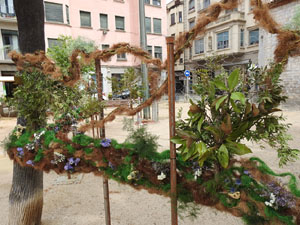 Temps de Flors 2023. Pla&ccedil;a de Santa Susanna