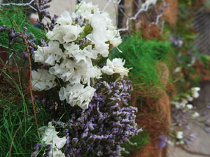 Temps de Flors 2023. Pla&ccedil;a de Santa Susanna