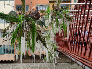 Temps de Flors 2023. Pont de les Peixateries Vellesl'esdeveniment
