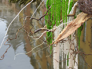 Temps de Flors 2023. Pont de les Peixateries Vellesl'esdeveniment