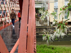 Temps de Flors 2023. Pont de les Peixateries Vellesl'esdeveniment