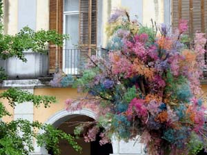 Temps de Flors 2023. Pla&ccedil;a de la Independ&egrave;ncia