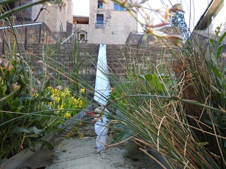 Temps de Flors 2023. UdG - Escales de Sant Dom&egrave;nec