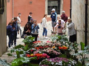 Temps de Flors 2023. Bas&iacute;lica de Sant Feliu - escalinata nord
