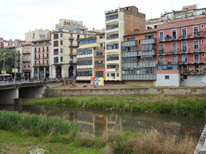 Temps de Flors 2023. Avinguda Sant Francesc - inici (parterre)l'esdeveniment