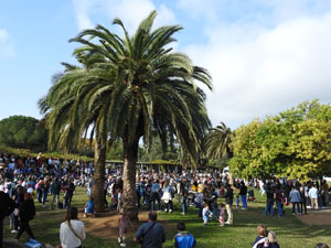 Fires de Sant Narc&iacute;s 2024. XLIII Trobada de Gegants i Bestiari