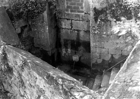 La font del Bisbe. 1979