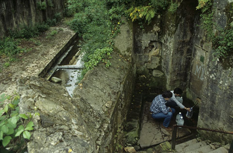 La font del Bisbe. 2000