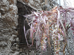 Temps de Flors 2024. Casa Lleó Avinay