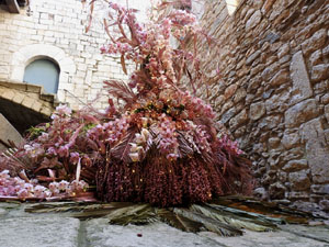 Temps de Flors 2024. Casa Lleó Avinay