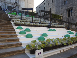 Temps de Flors 2024. Catedral. Escales