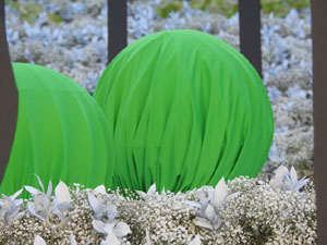 Temps de Flors 2024. Catedral. Escales